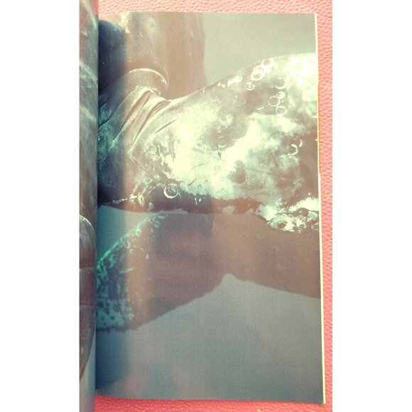 National Geographic Magazine July 1999 Iran Issue Testing Waters Of Reform Photo - Picture 5 of 7